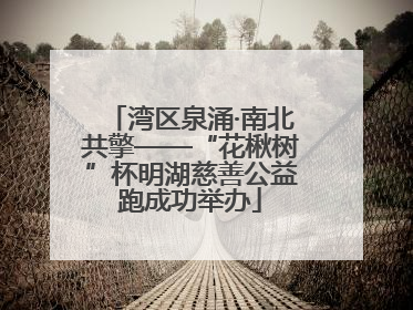 湾区泉涌·南北共擎——“花楸树”杯明湖慈善公益跑成功举办