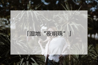 湿地“夜明珠”