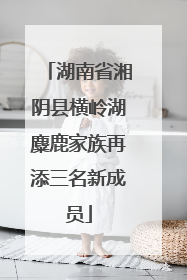 湖南省湘阴县横岭湖麋鹿家族再添三名新成员