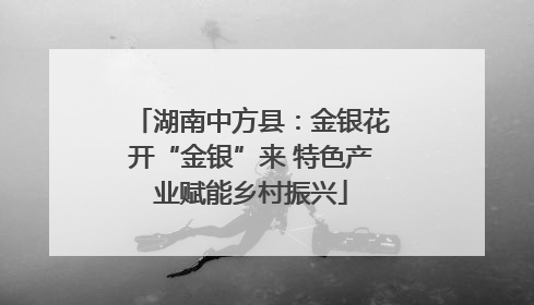 湖南中方县：金银花开“金银”来 特色产业赋能乡村振兴