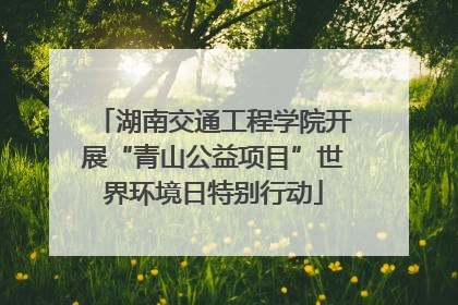 湖南交通工程学院开展“青山公益项目”世界环境日特别行动