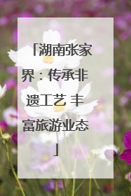 湖南张家界：传承非遗工艺 丰富旅游业态