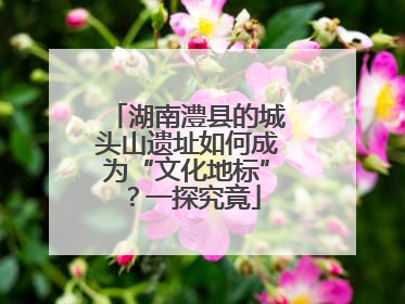 湖南澧县的城头山遗址如何成为“文化地标”？一探究竟