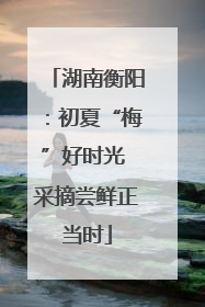 湖南衡阳：初夏“梅”好时光 采摘尝鲜正当时