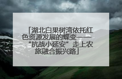 湖北白果树湾依托红色资源发展的蝶变——“抗战小延安”走上农旅融合振兴路