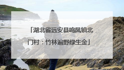 湖北省远安县鸣凤镇北门村：竹林遍野绿生金