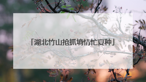 湖北竹山抢抓墒情忙夏种