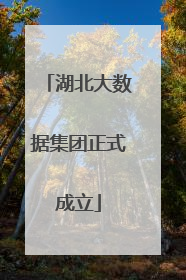 湖北大数据集团正式成立