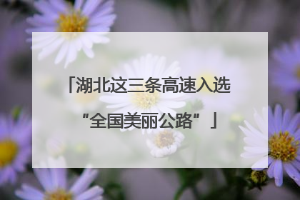 湖北这三条高速入选“全国美丽公路”