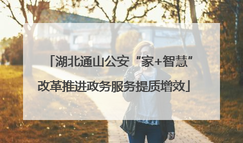 湖北通山公安“家+智慧”改革推进政务服务提质增效