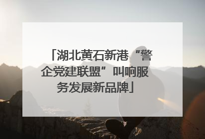 湖北黄石新港“警企党建联盟”叫响服务发展新品牌