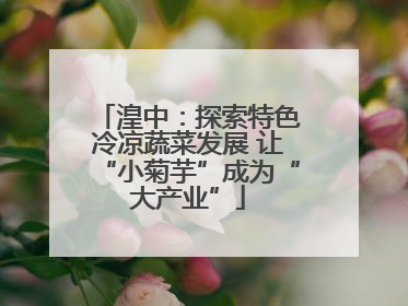 湟中：探索特色冷凉蔬菜发展 让“小菊芋”成为“大产业”