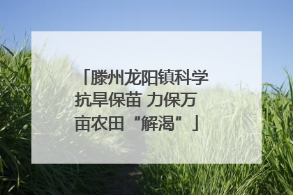 滕州龙阳镇科学抗旱保苗 力保万亩农田“解渴”