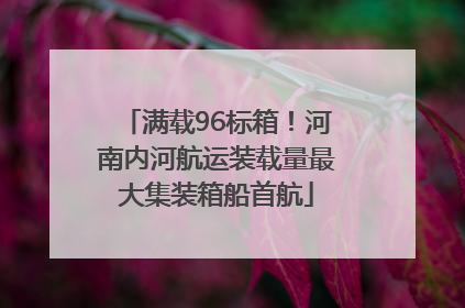 满载96标箱！河南内河航运装载量最大集装箱船首航