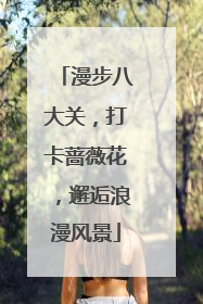 漫步八大关，打卡蔷薇花，邂逅浪漫风景