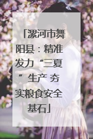 漯河市舞阳县：精准发力“三夏”生产 夯实粮食安全基石