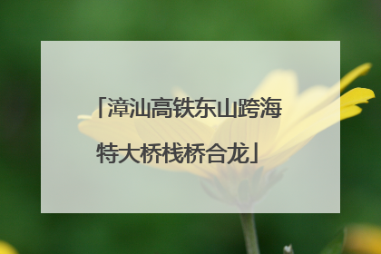 漳汕高铁东山跨海特大桥栈桥合龙