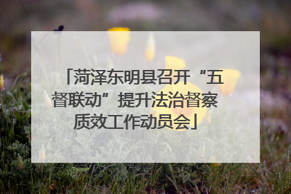 菏泽东明县召开“五督联动”提升法治督察质效工作动员会