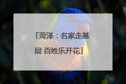 菏泽：名家走基层 百姓乐开花