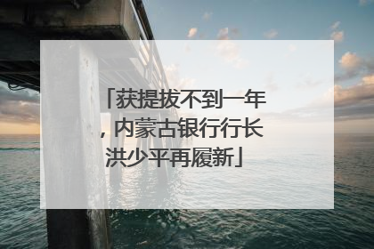 获提拔不到一年，内蒙古银行行长洪少平再履新