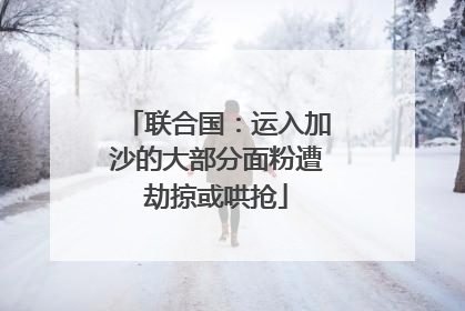 联合国：运入加沙的大部分面粉遭劫掠或哄抢