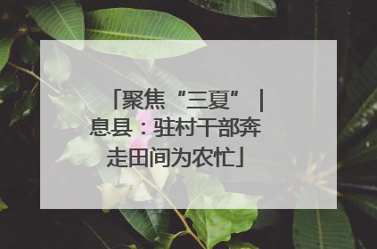 聚焦“三夏”｜息县：驻村干部奔走田间为农忙