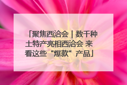 聚焦西洽会｜数千种土特产亮相西洽会 来看这些“爆款”产品