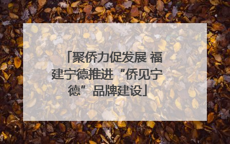 聚侨力促发展 福建宁德推进“侨见宁德”品牌建设