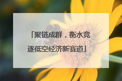 聚链成群，衡水竞逐低空经济新赛道