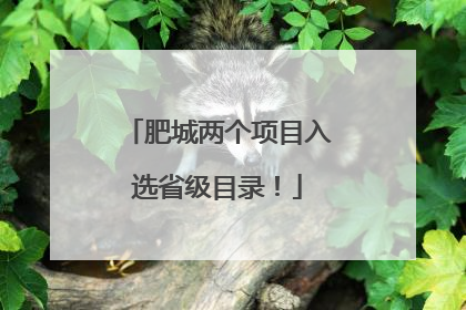肥城两个项目入选省级目录！
