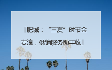 肥城：“三夏”时节金麦浪，供销服务助丰收