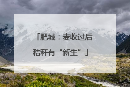 肥城：麦收过后秸秆有“新生”