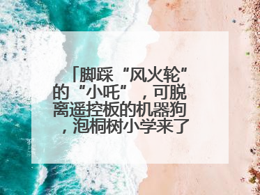 脚踩“风火轮”的“小吒”，可脱离遥控板的机器狗，泡桐树小学来了新朋友！