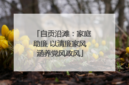 自贡沿滩：家庭助廉 以清廉家风涵养党风政风