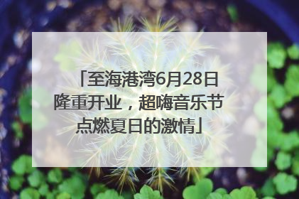 至海港湾6月28日隆重开业，超嗨音乐节点燃夏日的激情