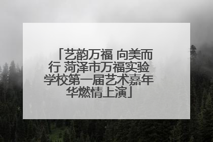 艺韵万福 向美而行 菏泽市万福实验学校第一届艺术嘉年华燃情上演