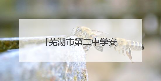 芜湖市第二中学安澜中学生管乐团闪耀全市社团展演舞台