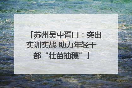 苏州吴中胥口：突出实训实战 助力年轻干部“壮苗抽穗”