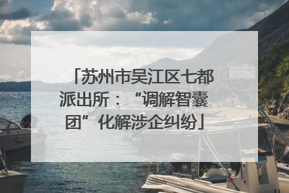 苏州市吴江区七都派出所：“调解智囊团”化解涉企纠纷