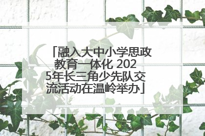 融入大中小学思政教育一体化 2025年长三角少先队交流活动在温岭举办