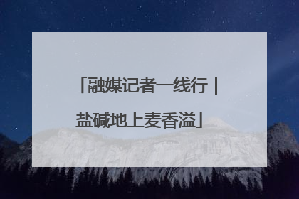 融媒记者一线行｜盐碱地上麦香溢