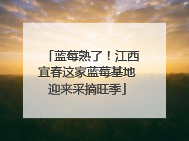 蓝莓熟了！江西宜春这家蓝莓基地迎来采摘旺季