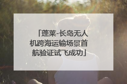 蓬莱-长岛无人机跨海运输场景首航验证试飞成功