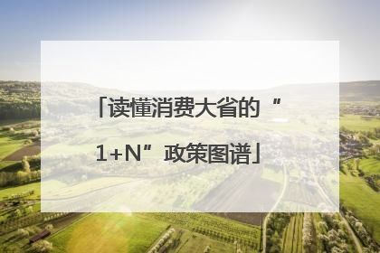 读懂消费大省的“1+N”政策图谱