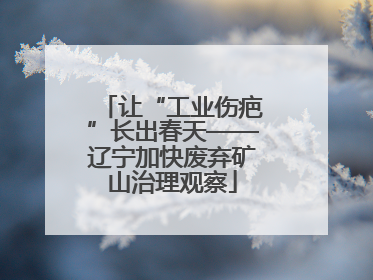 让“工业伤疤”长出春天——辽宁加快废弃矿山治理观察