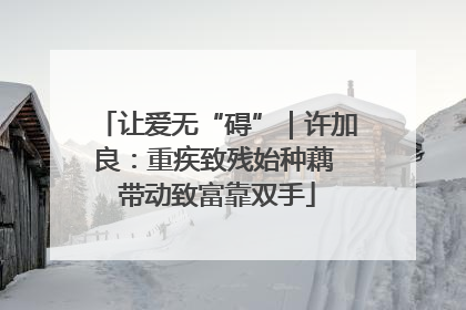 让爱无“碍”｜许加良：重疾致残始种藕 带动致富靠双手