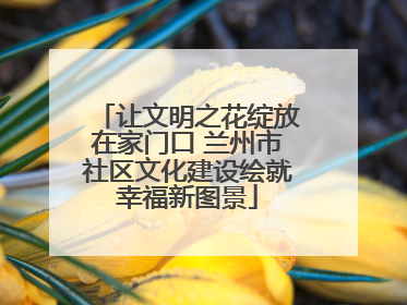 让文明之花绽放在家门口 兰州市社区文化建设绘就幸福新图景