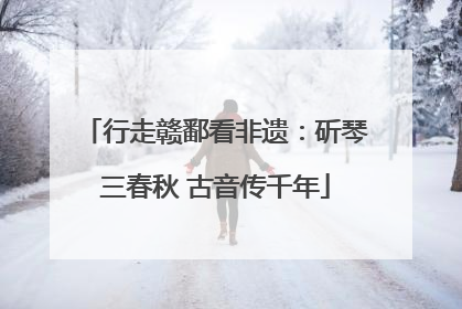 行走赣鄱看非遗：斫琴三春秋 古音传千年