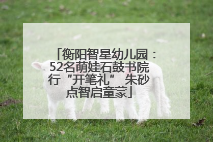 衡阳智星幼儿园：52名萌娃石鼓书院行“开笔礼” 朱砂点智启童蒙