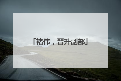 褚伟，晋升副部